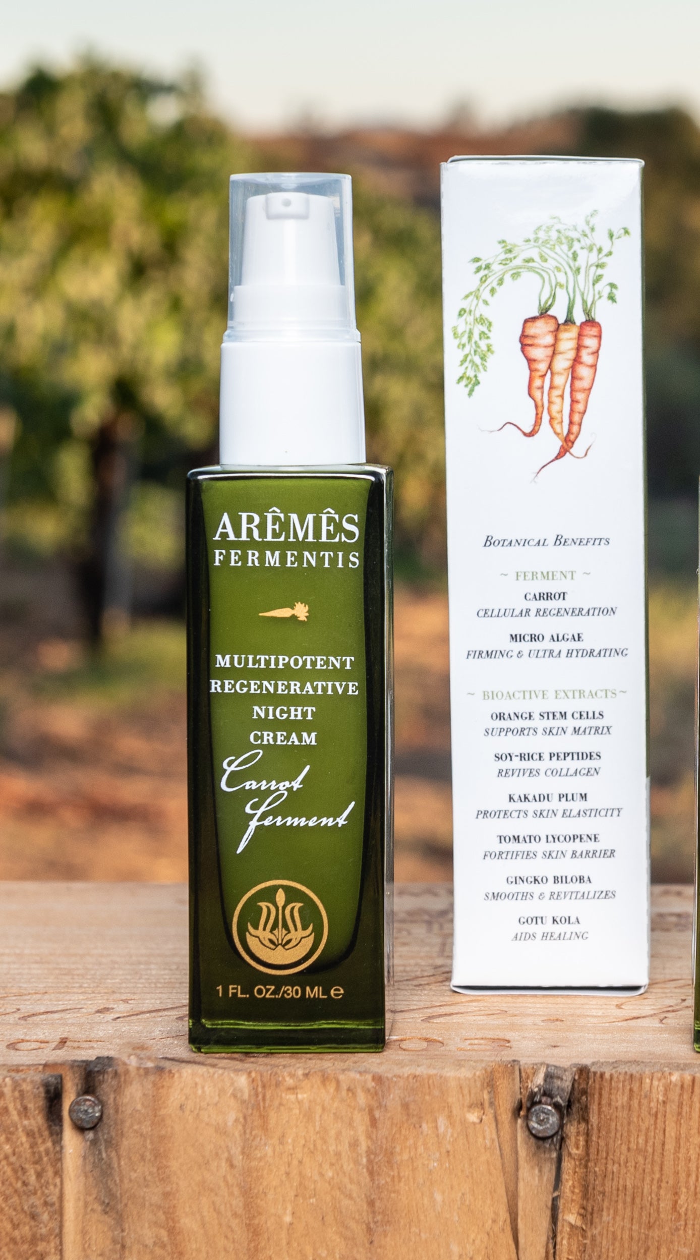 Multipotent Regenerative Night Cream™