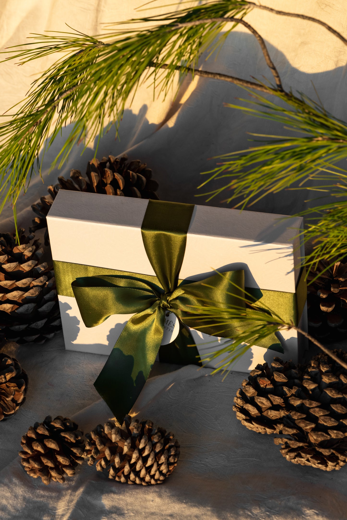 “Everyday’s A Good Skin Day” Bioactive Gift Box™